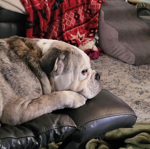 Meet your Posher, Melanie - Picture 4 of 7